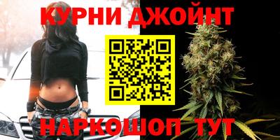 шишки Лесосибирск