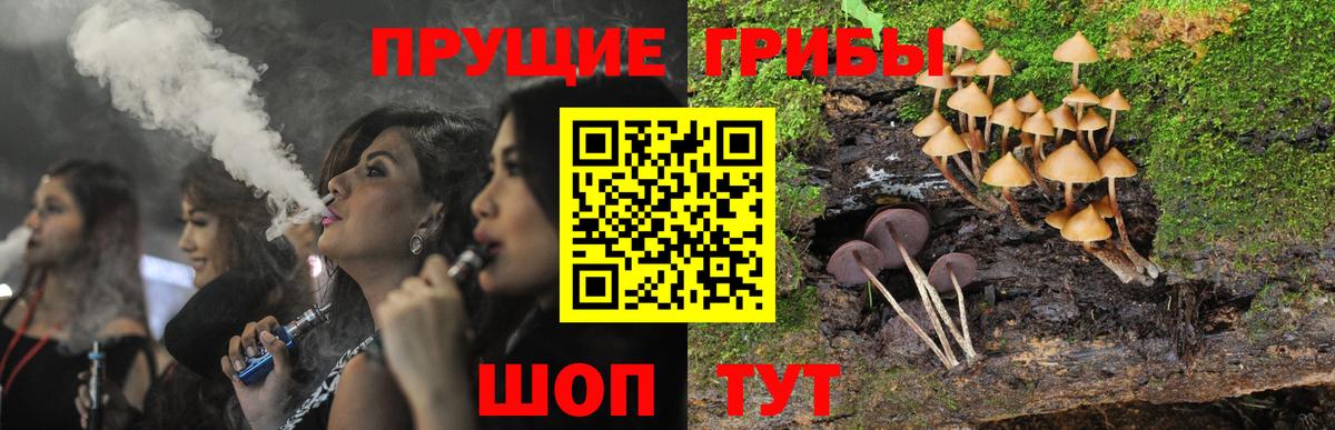 Псилоцибиновые грибы Psilocybine cubensis Зима